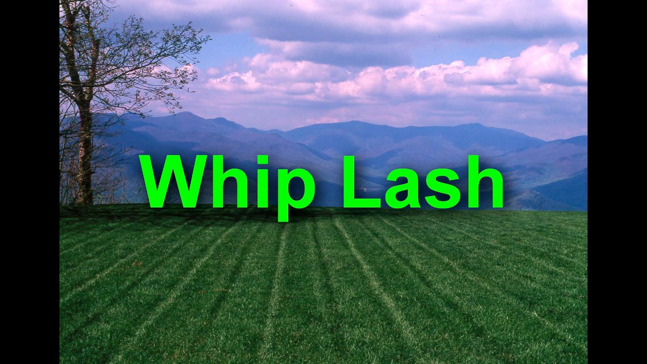 Whip Lash