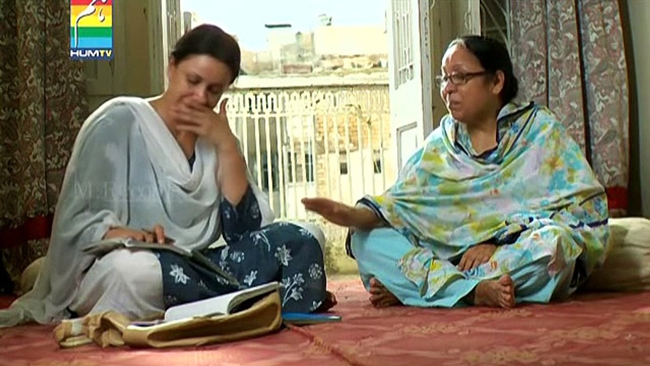 Humsafar - DvDRip - Episode 1