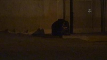 Şüpheli Poşetten Çöp Çıktı