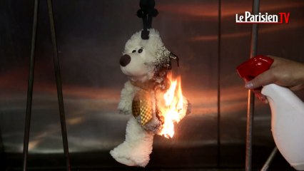 Dans les coulisses de la «chambre des tortures» des nounours