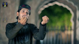 Sarkar Ne Aana Ay - Hafiz Wasif Ali Wasif - HD Official Video [2014]