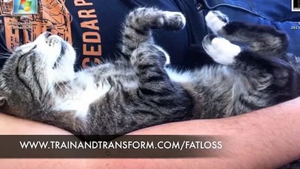 Customized Fat Loss Behind The Scenes