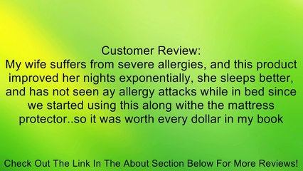 Claritin Anti-allergen Pillow Protector - King Size Review