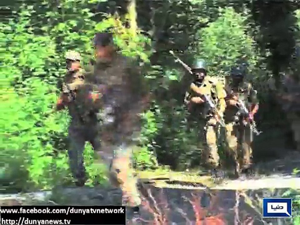 Dunya news-US announces 1-year conditional extension in Pakistan's military aid