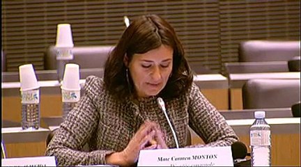 Table ronde avec des parlementaires étrangers - Mercredi 12 Décembre 2012