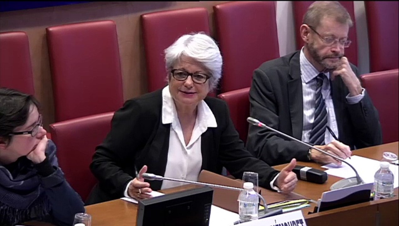 Audition de M. Yves Gaubert, responsable du pôle Finances et Banque de données hospitalières de France (FHF) - Jeudi 4 Décembre 2014