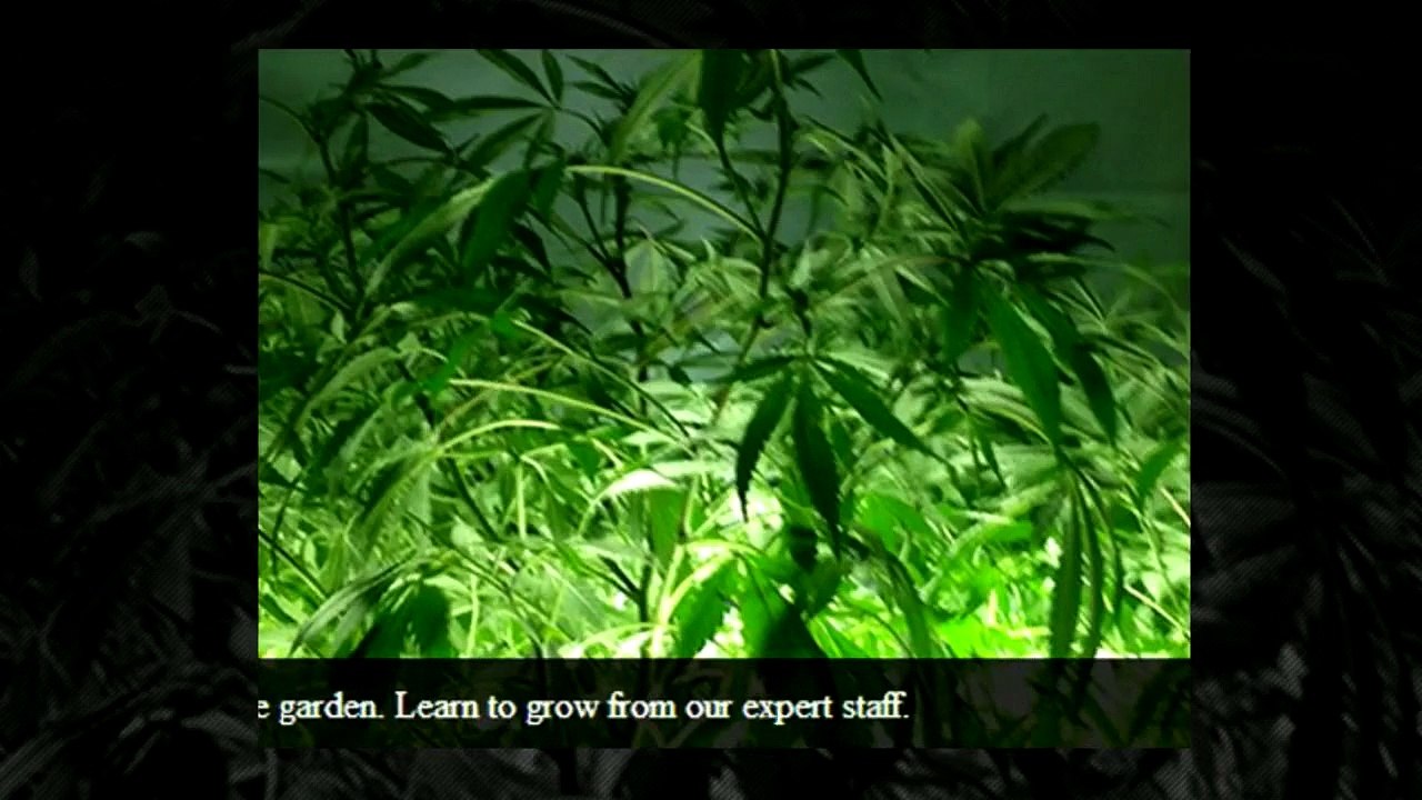 Press Release Converted to Video by Garbage Juice Publishing