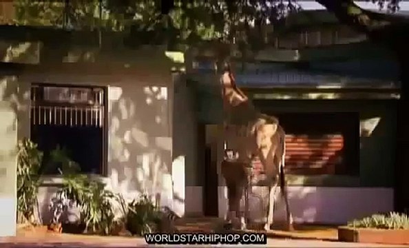 Documentary Hungry Lions National Geographic Animals, Nat Geo Wild, Discovery Channel