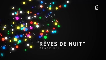 Fête des lumières 2014 : Rêves de nuit, place Bellecour