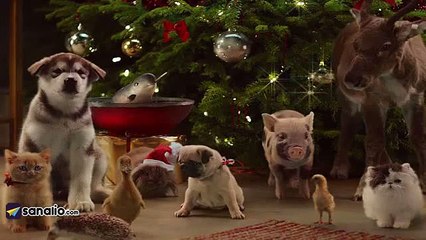 McVitie's first Christmas advert in 30 years features cute animals emerging from a biscuit tin