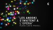 Fête des lumières 2014 : les Anooki s'invitent à l'Opéra