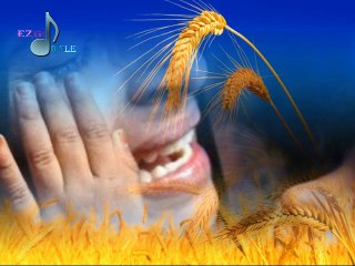 Grup Mavera - Ara Beni