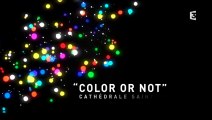 Fête des lumières 2014 : Color or not, cathédrale saint-Jean