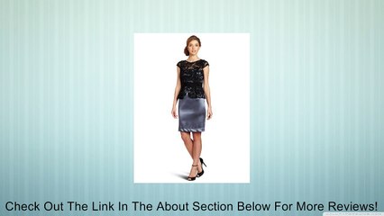 Adrianna Papell Women's Lace Bodice Dress, Charcoal/Black, 4 Review