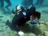 Saying prayer in Sea, Subhan Allah