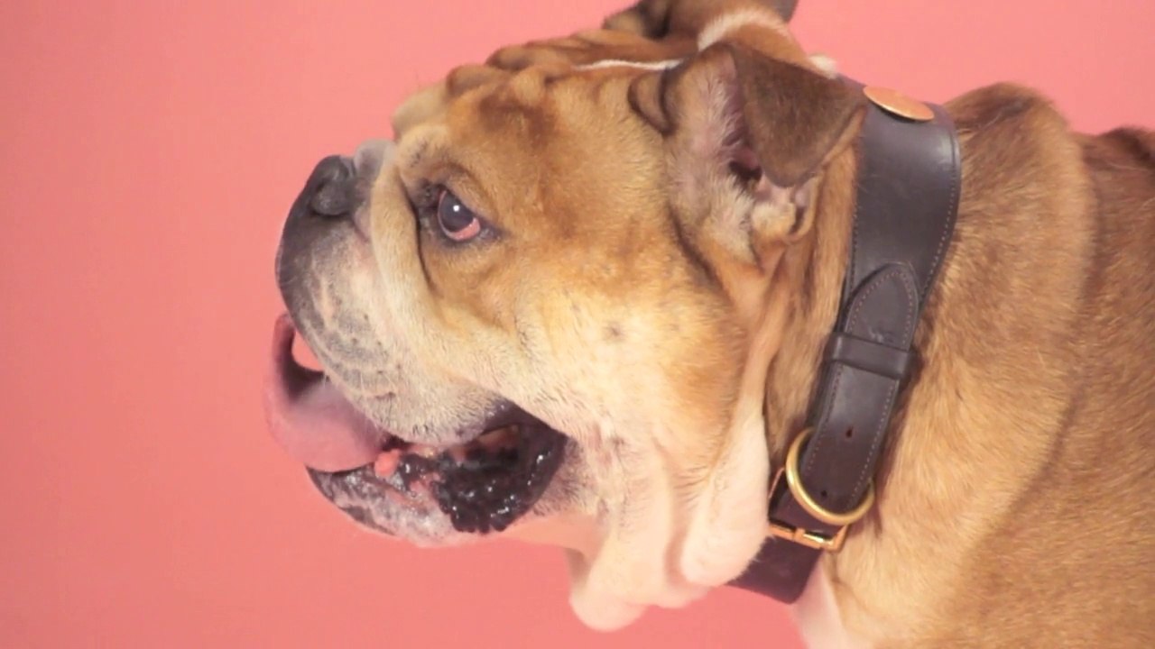 DAY#5 -TAPE M'EN CINQ | GIVE ME FIVE