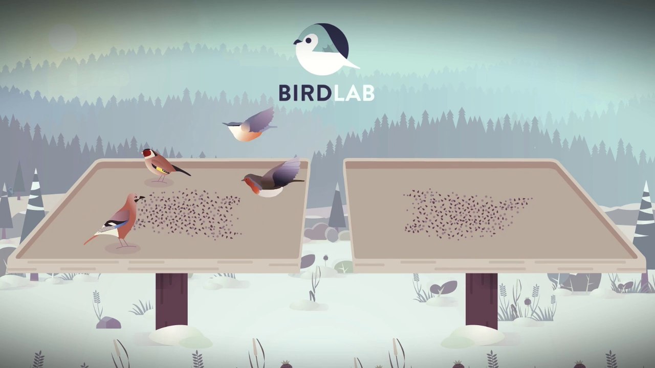 Observez les oiseaux avec l'application BirdLab !