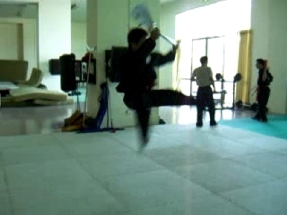 Hallebarde 2