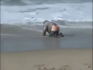Un homme complètement ivre tente de faire du skimboard