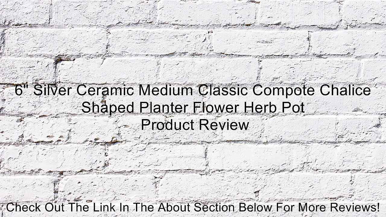 6" Silver Ceramic Medium Classic Compote Chalice Shaped Planter Flower Herb Pot Review