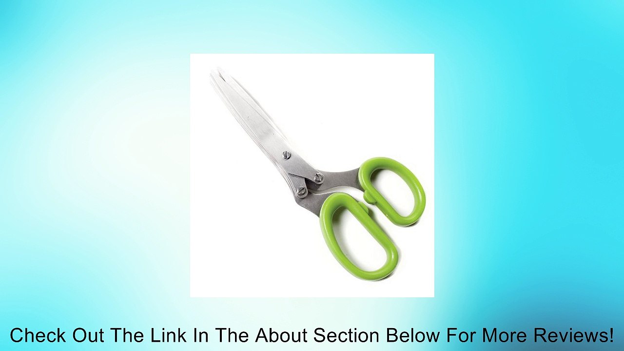 Abbott Multi Blade Herb Scissors for Gardening Review