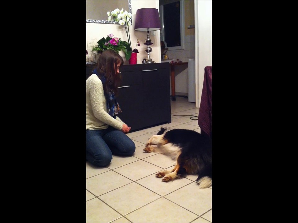 2014 Joyce Pan T'es mort