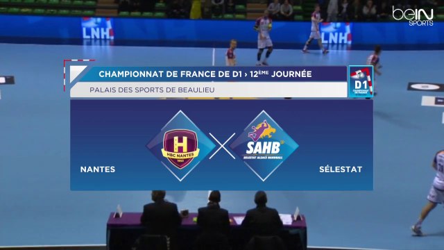 LNH D1 2014-2015 J12 NANTES SELESTAT