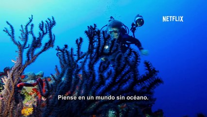 Mission Blue - Trailer Oficial - Estreno Exclusivo en Netflix (15_08_14)