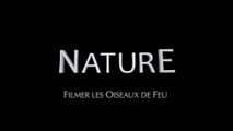 NATURE - Featurette 