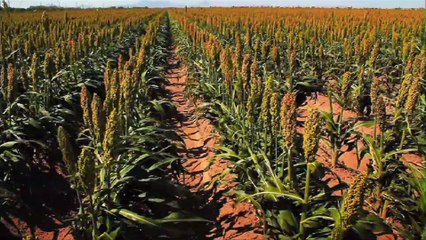 Heineken’s CEO on Leading a 150-Year-Old Company