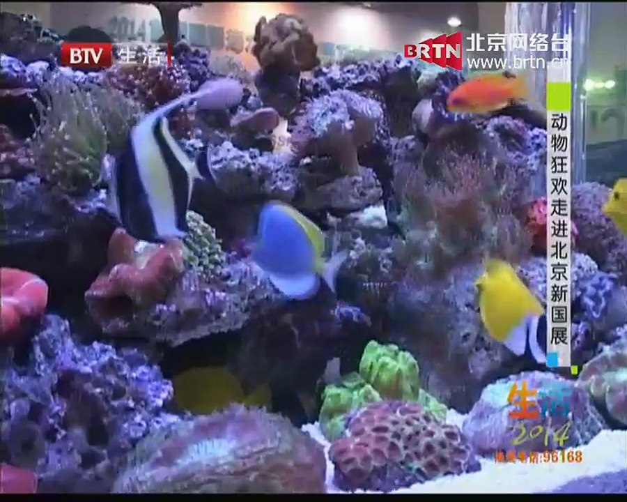 20141205 拍宝 2014-12-05
