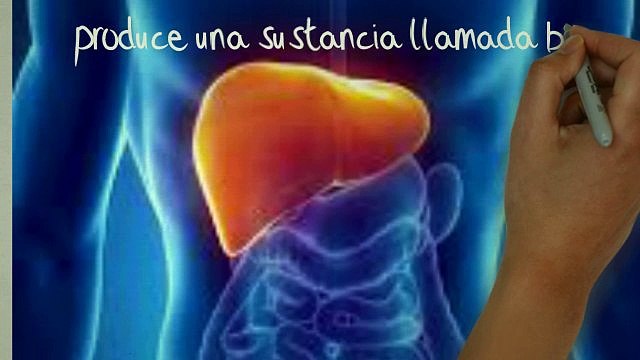 como bajar de peso / en tres simples pasos