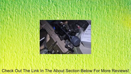 Breakaway Nylon Coaster Cat Tail Review