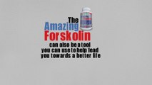 Pure Natural Forskolin Supplement For Weight Loss