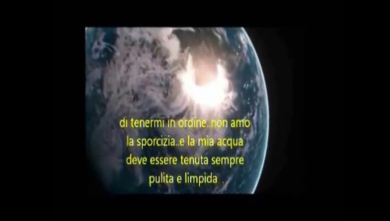 Buon Risveglio