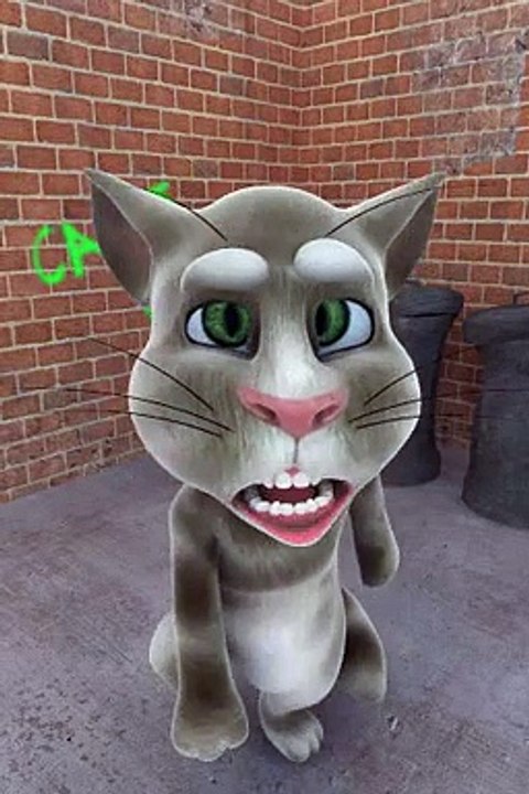 TalkingTom(6).mp4