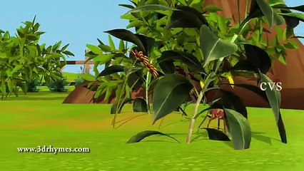 Itsy bitsy spider   Incy wincy spider - 3D Animation English Nursery rhyme song for children.mp4