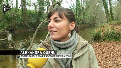 Le vin de Sauternes menacé par le TGV ?