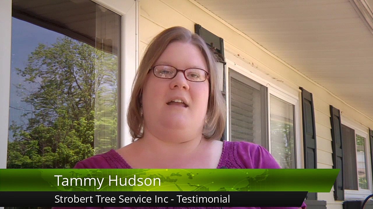 Strobert Tree Service Inc Wilmington         Perfect         5 Star Review by Tammy H.