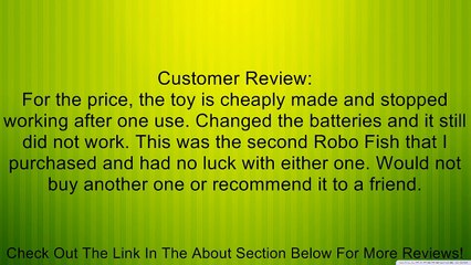 Robo Fish: Green Electronic 3-Inch Clownfish Review