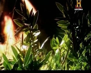 Censurado, Enigmas do Antigo Testamento - Canal História