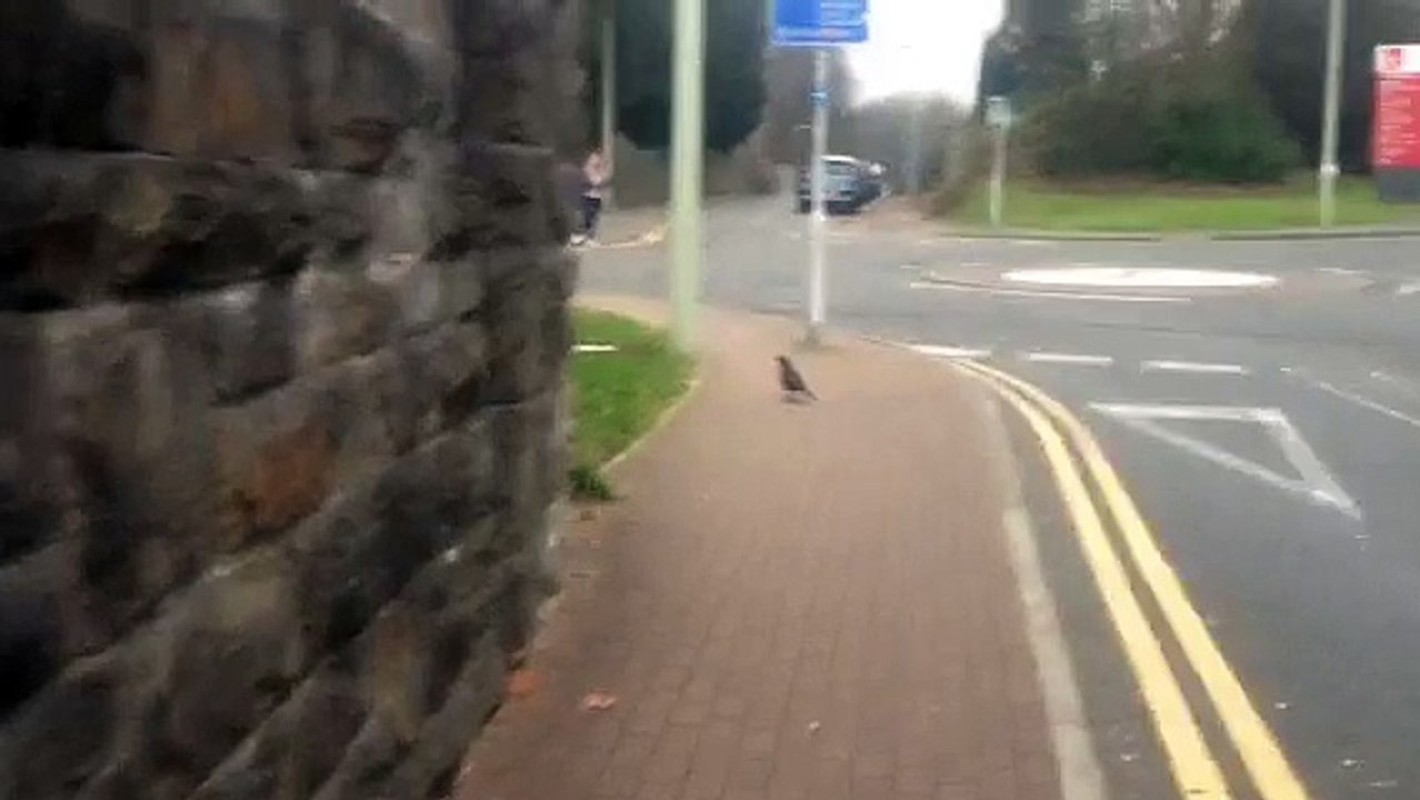 Video of Camera techniques 2