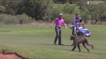 Un golfeur se fait courser par un babouin sur le green!