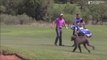 Pro Golfer Luke Donald Gets Chased By wild Baboon