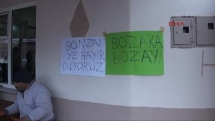 Romanlar, ?bonzai?ye Hayır? Eylemi Yaptı