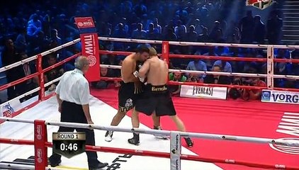 Alexander Povetkin vs. Manuel Charr 30.05.2014