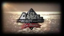 Les barges de la réalité à la télé