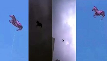 Reality of flying horse in the sky