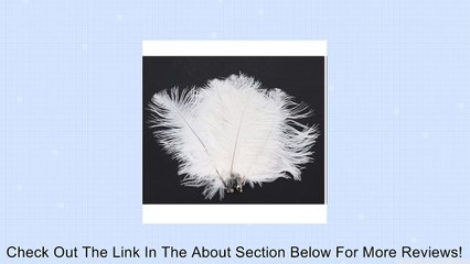 50 x White Ostrich Feathers (15-20 CM) Review