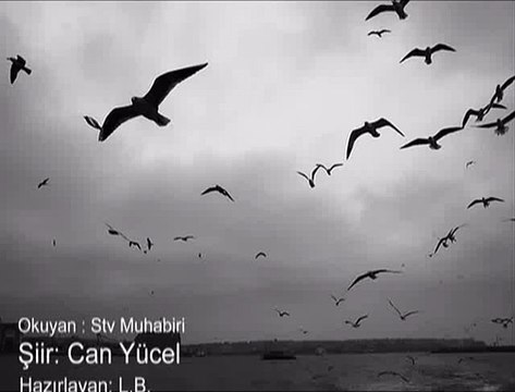 Can Yücel Bağlanmayacaksın